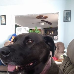 Meet your Posher, Cindy